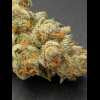 Twenty/20 Mendocino - Pre-98 Bubba