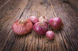 Onion - Red Danvers Onion Seed