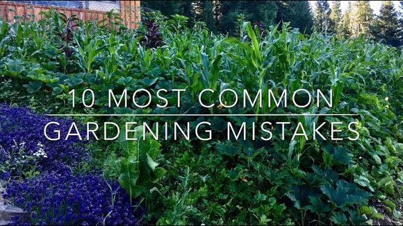 Grow a Thriving Garden this Spring: Essential mistakes to avoid this year!!