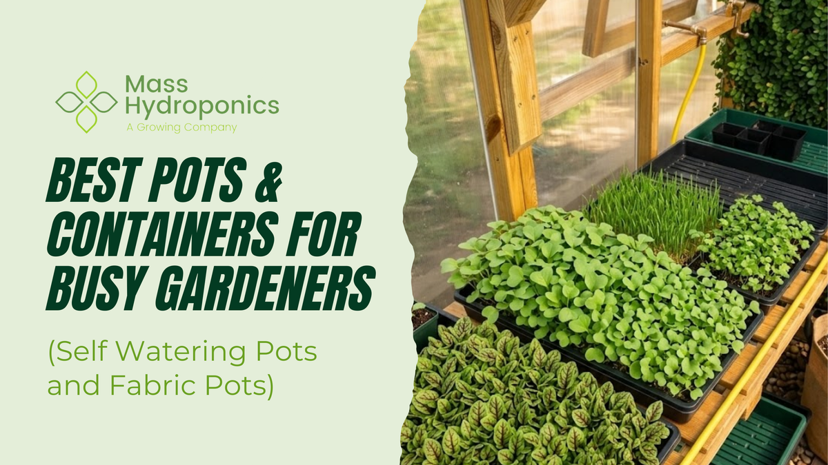 Api Pots Containers Best Pots & Containers for Busy Gardeners (Self Watering Pots and Fabr ...