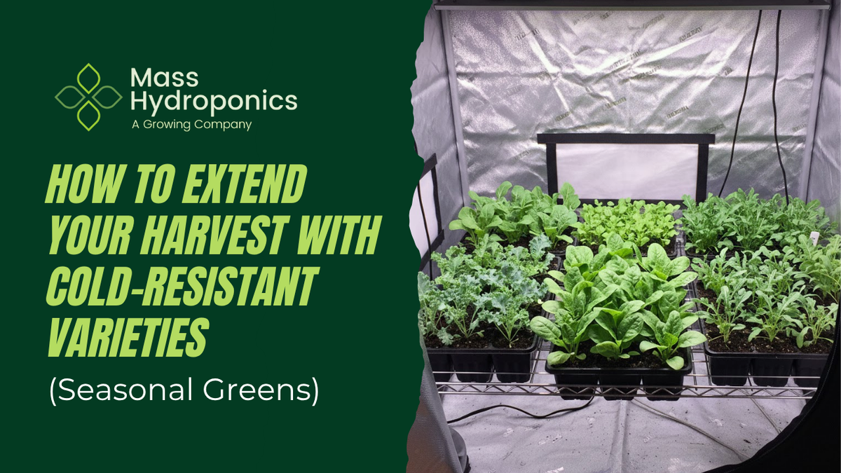 How to Extend Your Harvest with Cold-Resistant Varieties (Seasonal Gre ...
