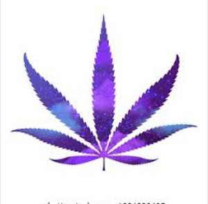 What Gives Purple Cannabis Flower Its Pigmentation?