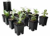 Grow Systems, Trays & Reservoirs
