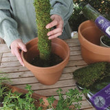 SuperMoss® Natural Moss Pole - 3ft