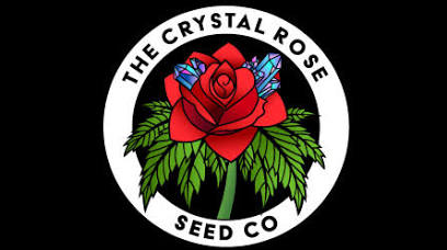 Crystal Rose - Tropicanna Pie Eyed