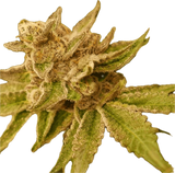 Emergenc Clone