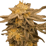 Gelato Mintz Clone