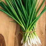 Onion - Evergreen Bunching Scallion Seed
