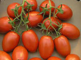Tomato - Roma Tomato Seed