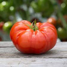 Tomato - Beefsteak Tomato Seed