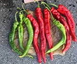 Pepper - Cayenne Long Red Pepper Seed