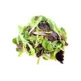 Mesclun Mix Lettuce Greens Seed