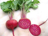 Beet - Chioggia Beet Seed