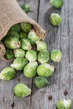 Brussel Sprouts - Long Island Improved Brussel Sprout Seed
