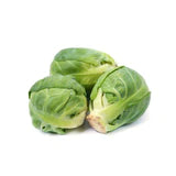 Brussel Sprouts - Long Island Improved Brussel Sprout Seed