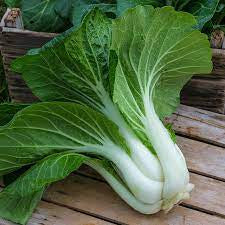 Pak Choi Cabbage Seed