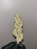 Sour Kernel
