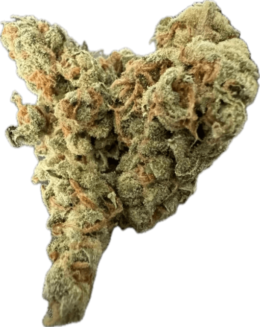 Moroccan Peaches flower, as labeled by the cited image source