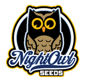 Night Owl - Strawberry Safari V2 Auto