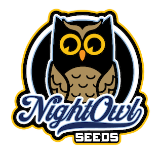 Night Owl - Strawberry Safari V2 Auto