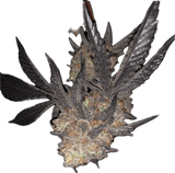 Bay Area Pop Rocks Clone