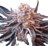 Punch Breath Clone