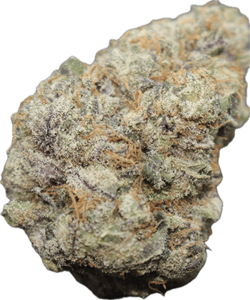 Gelato #41 x Zkittlez Clone