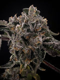 Sharpiez Clone