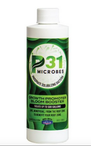 P31 Microbes