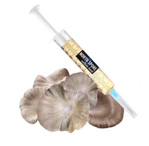 Italian Oyster Mushroom Liquid Culture Syringe