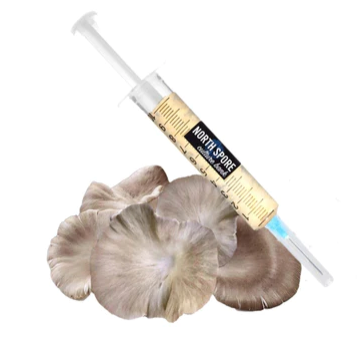 Italian Oyster Mushroom Liquid Culture Syringe