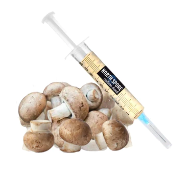 Almond Agaricus Mushroom Liquid Culture Syringe