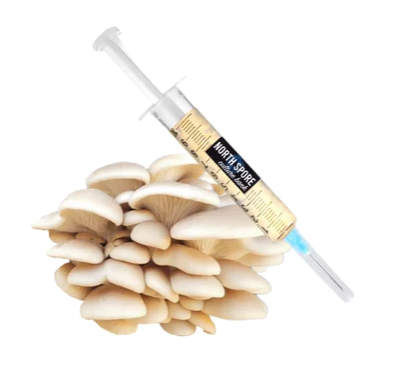 Elm Oyster Mushroom Liquid Culture Syringe