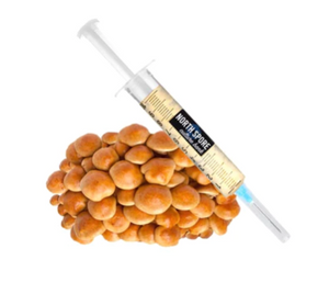 Nameko Mushroom Liquid Culture Syringe