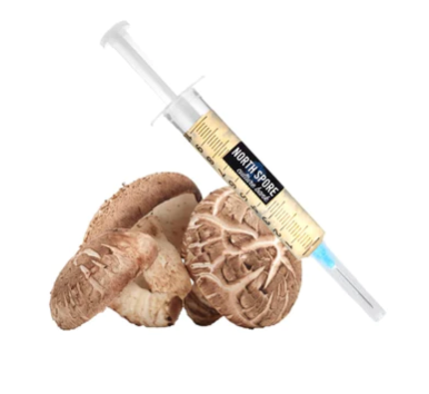 Shiitake Mushroom Liquid Culture Syringe