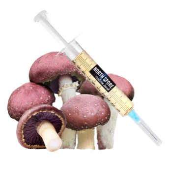 Wine Cap Mushroom Liquid Culture Syringe
