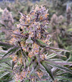 Zkittles Clone
