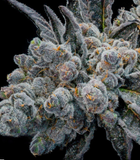 Ice Phineset Clone