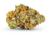 Jenny Kush Clone