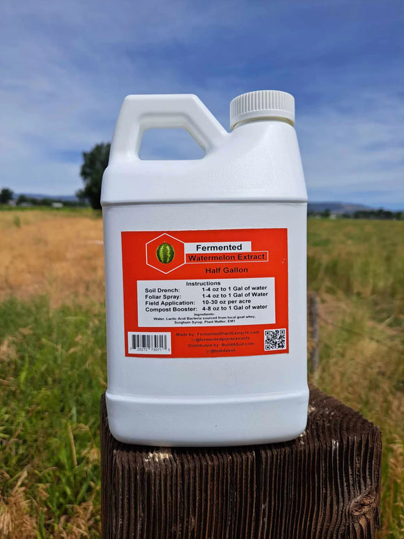 Fermented Plant Extracts: Watermelon