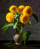 Sunflower Dwarf Sungold