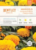 Flower Marigold Crackerjack Mixed