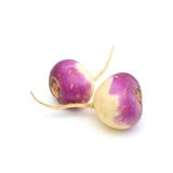 Turnip Purple Top Globe