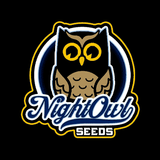Night Owl - Deep Space 91 Auto