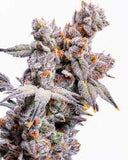 Red Velvet Runtz Clone