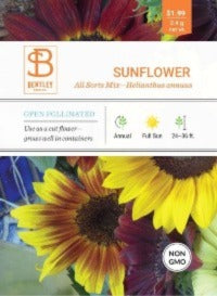 Sunflower- All Sorts Mix