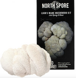 Spray & Grow Mushroom Kits
