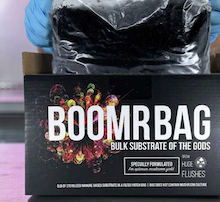 Boomr Bag Sterile Manure Substrate