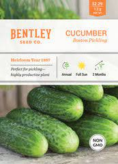 Cucumber- Boston Pickling