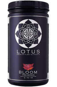 Lotus BLOOM